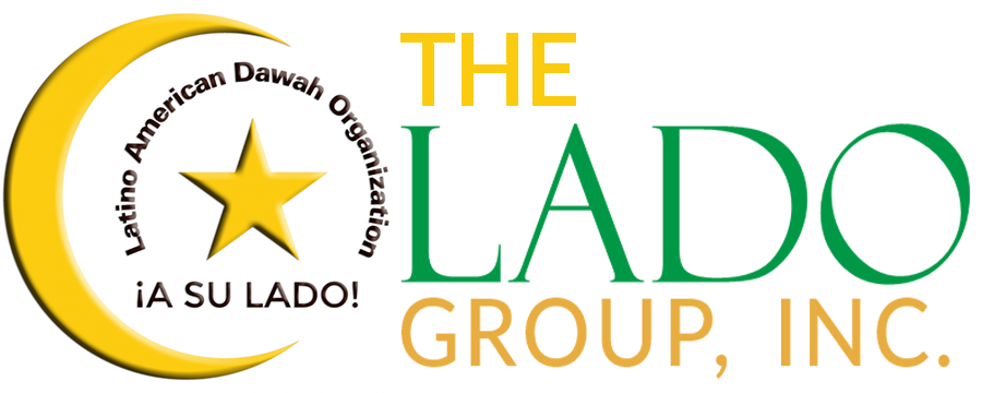 LADO logo with organization name