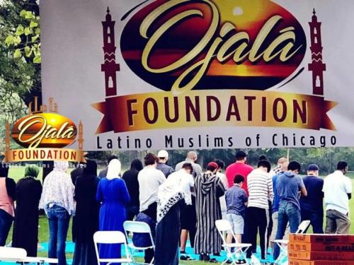 Ojala-Foundation-2018b